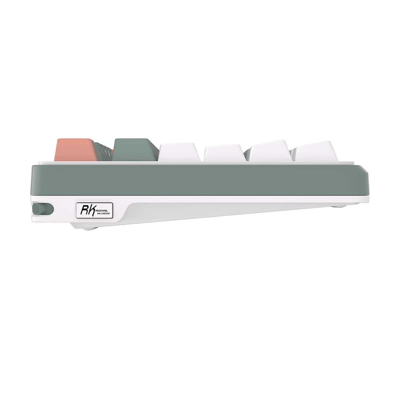 Royal Kludge RK-S98 Tri-Mode RGB 98 Keys Hot Swappable Mechanical Keyboard Camping (Blue Switch, Brown Switch, Chartreuse Switch, Beige Switch)
