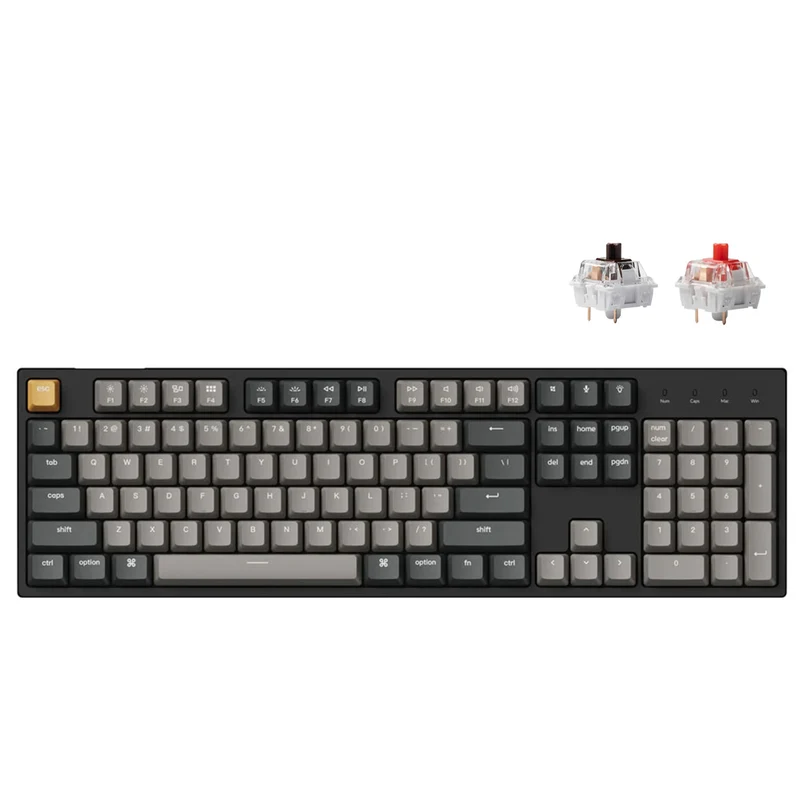 Keychron C2 Pro QMK/Via RGB Backlit Hot-Swappable Full Size Wired Mechanical Keyboard (K Pro Red Switch, K Pro Brown Switch)