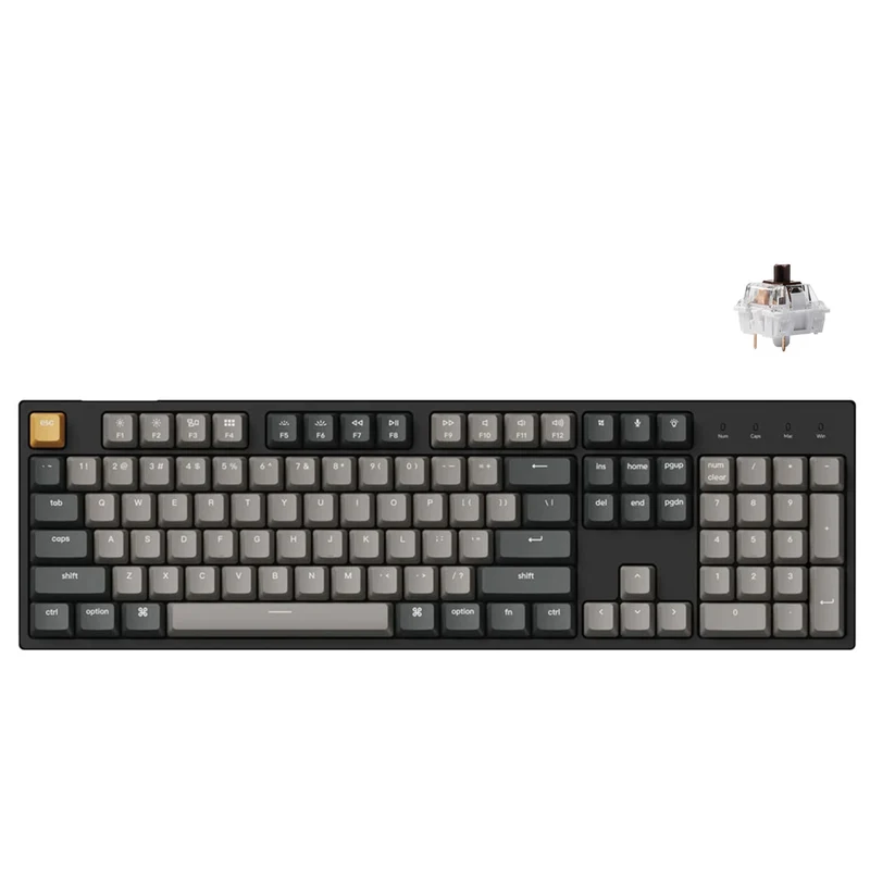 Keychron C2 Pro QMK/Via RGB Backlit Hot-Swappable Full Size Wired Mechanical Keyboard (K Pro Red Switch, K Pro Brown Switch)
