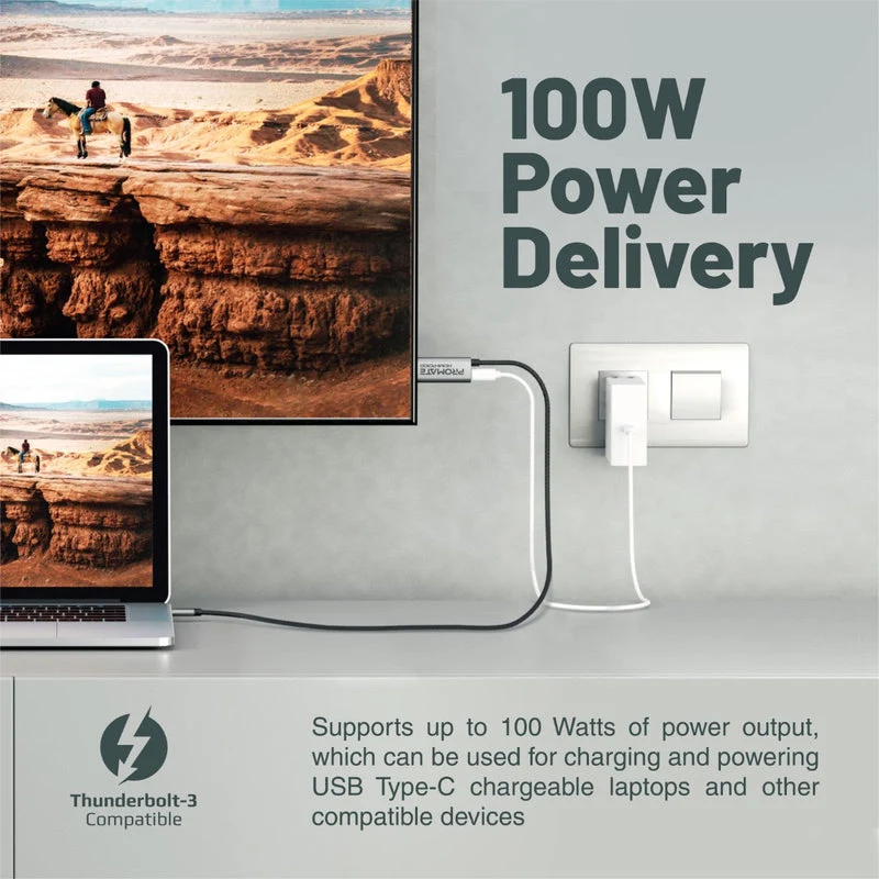 Promate HDMI-PD100 4K Crystal Clarity USB-C To HDMI Cable 4K Ultra HD 100W Power