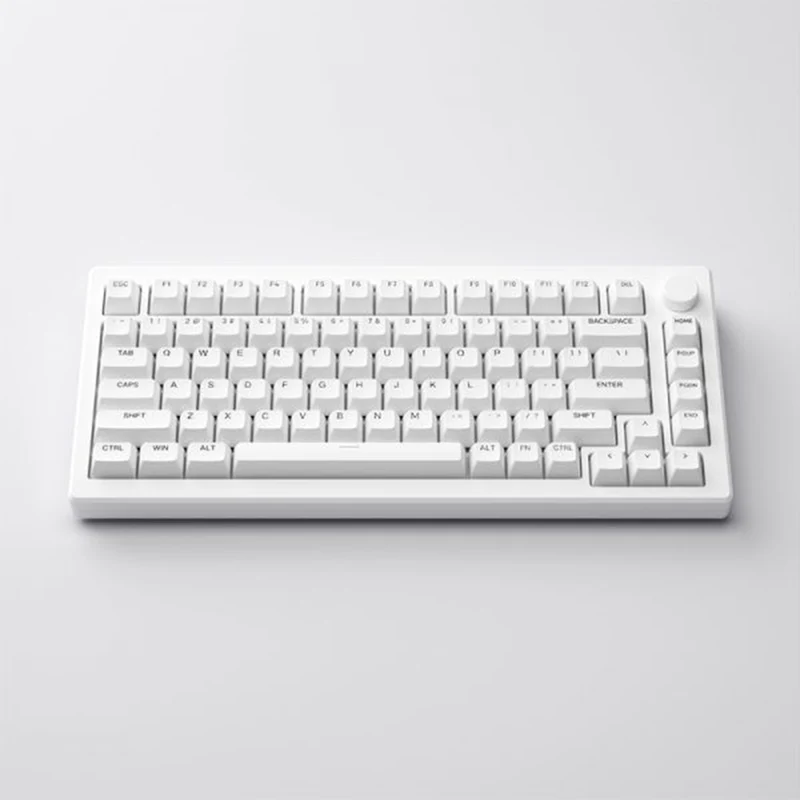 Akko MOD 007B PC Shine-Through Multi-Mode RGB Hot-Swappable Mechanical Keyboard (Ice Cream Pink)