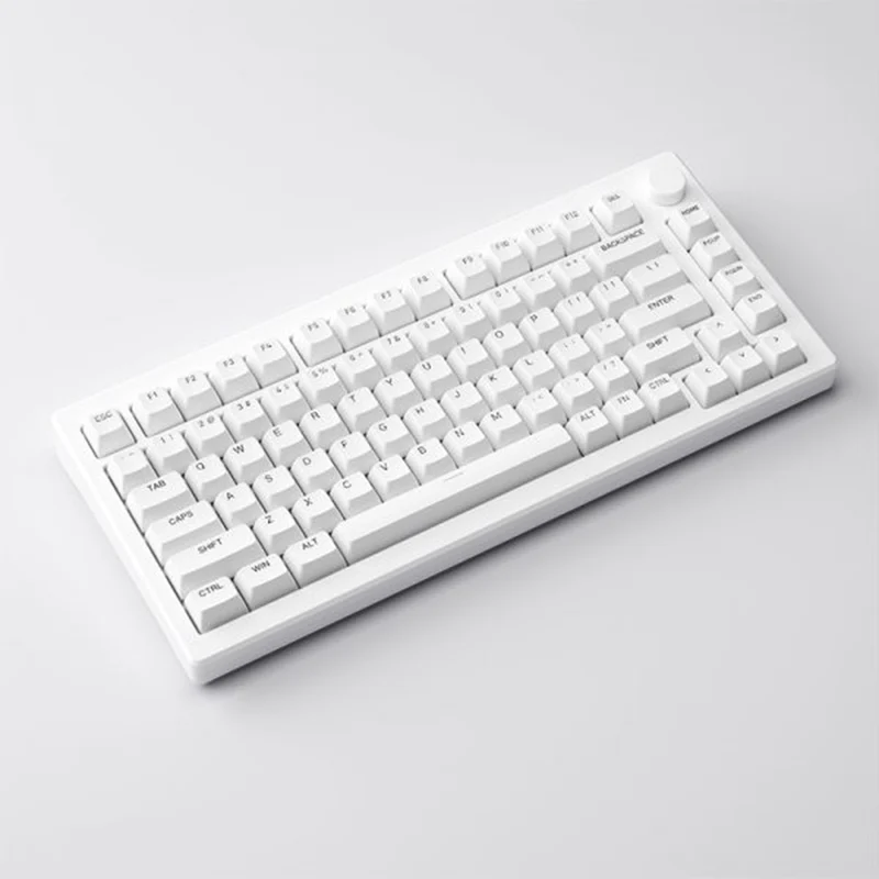 Akko MOD 007B PC Shine-Through Multi-Mode RGB Hot-Swappable Mechanical Keyboard (Ice Cream Pink)