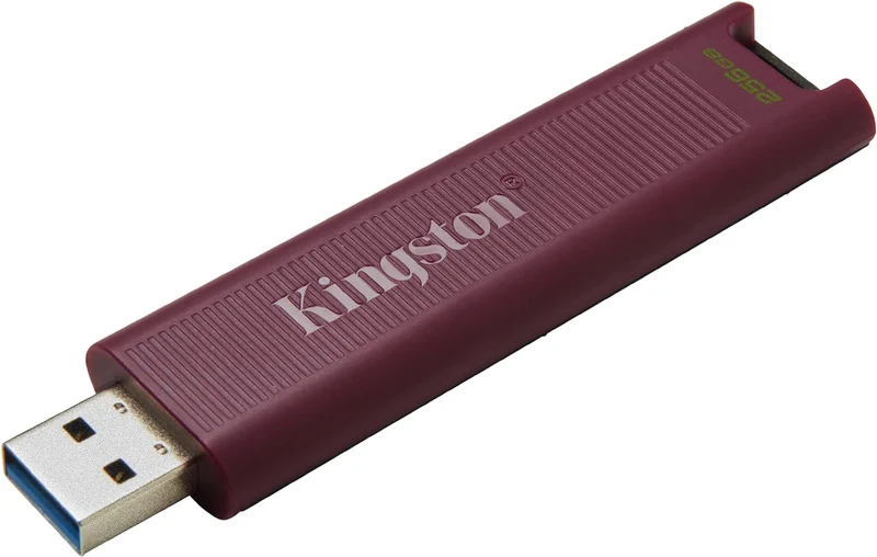 Kingston DataTraveler Max 256GB USB 3.2 Gen 2 USB Type-A Flash Drive (DTMAXA/256GB)