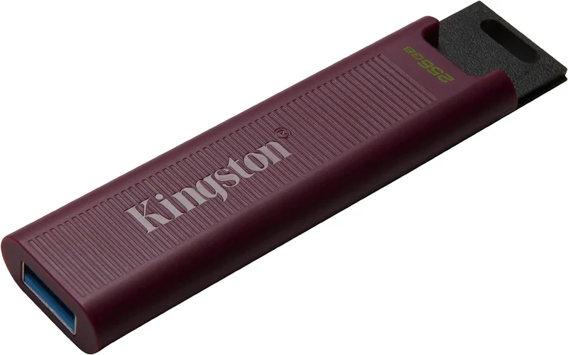 Kingston DataTraveler Max 256GB USB 3.2 Gen 2 USB Type-A Flash Drive (DTMAXA/256GB)