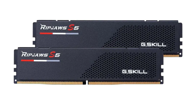 G.Skill Ripjaws S5 32GB (2X16GB) DDR5 6000MHZ CL32-38-38-96 1.35V Intel XMP Desktop Memory (Black, White)
