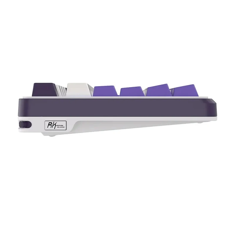 Royal Kludge RK-S98 Tri-Mode RGB 98 Keys Hot Swappable Mechanical Keyboard Blackberry Mousse (Chartreuse Switch, Blue Switch, Beige Switch)