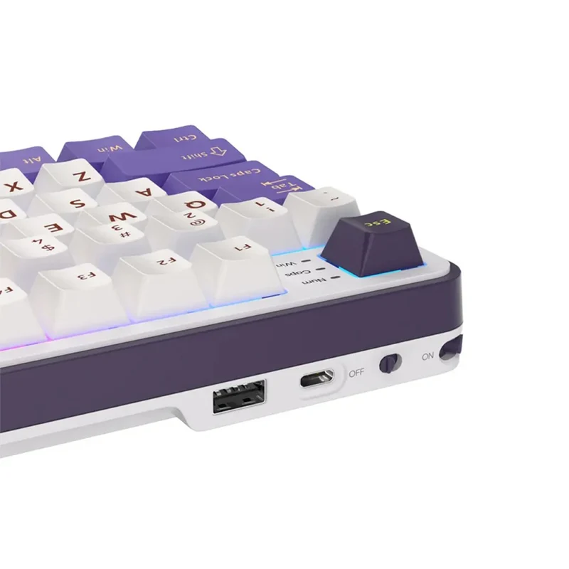Royal Kludge RK-S98 Tri-Mode RGB 98 Keys Hot Swappable Mechanical Keyboard Blackberry Mousse (Chartreuse Switch, Blue Switch, Beige Switch)