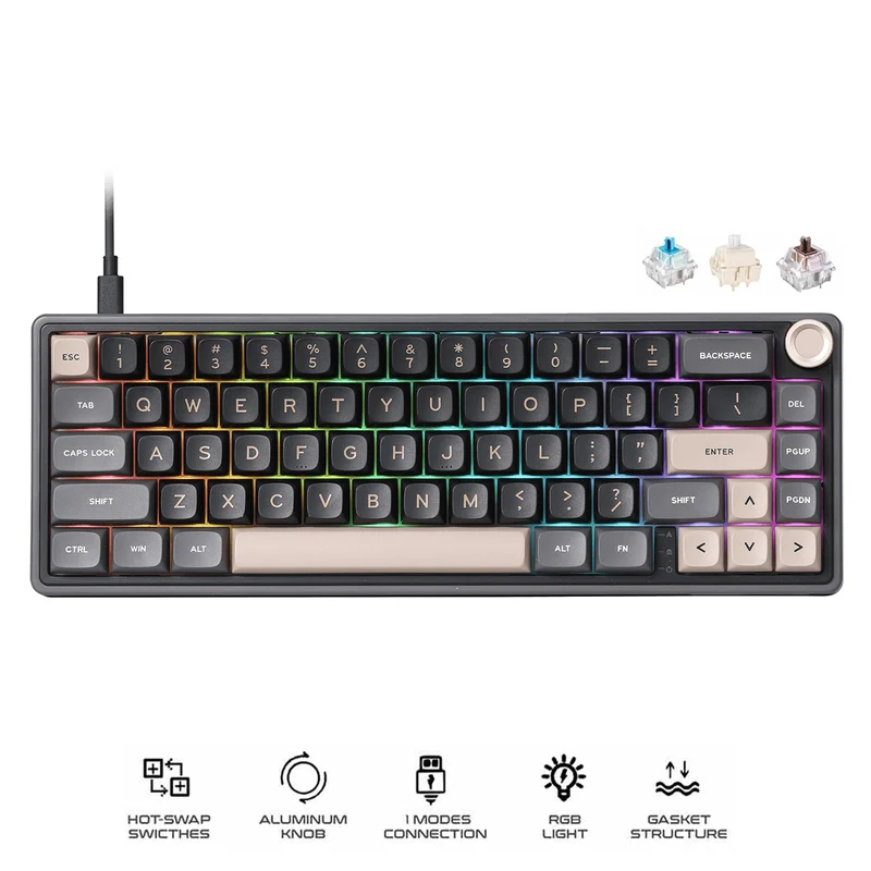 Royal Kludge R65 Single-Mode RGB 66-Keys Hot-Swappable Mechanical Keyboard Phantom (Blue Switch, Chartreuse Switch, Brown Switch)