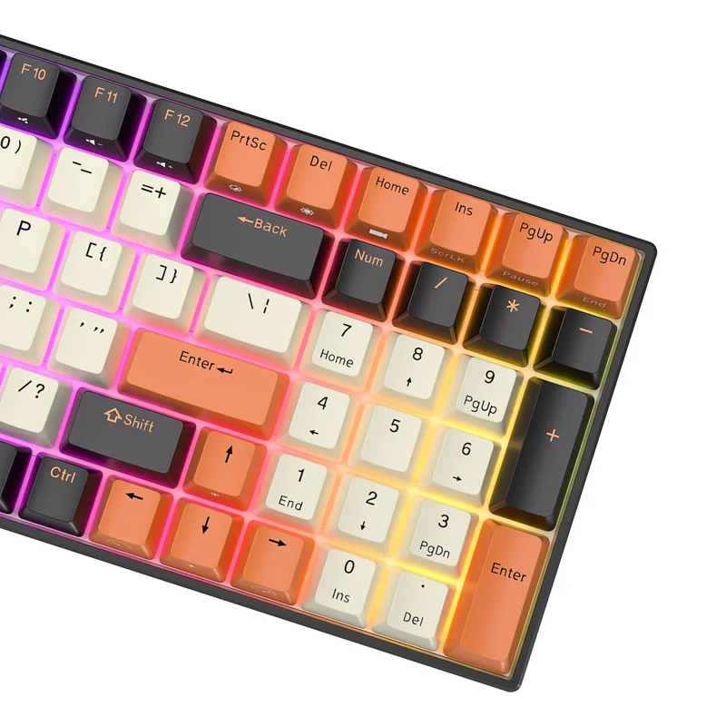 Royal Kludge RK100 Tri-Mode RGB 100-Keys Hot Swappable Mechanical Keyboard (Black Orange) (Red Switch)