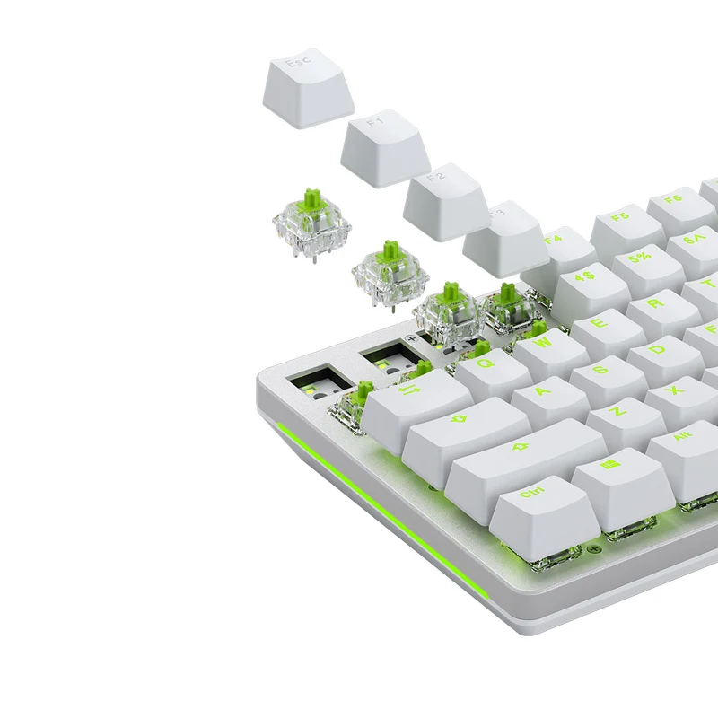 Glorious Raptor Premium Clicky Mechanical Keyboard Switches (Lubed)