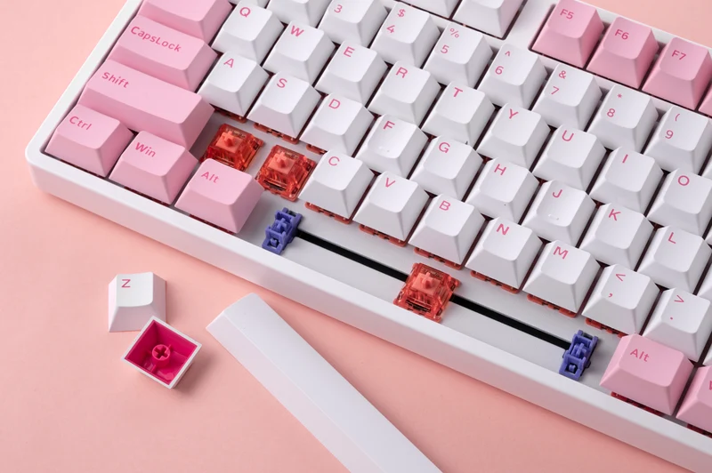 Akko 5087S Via RGB Hot-Swappable Mechanical Keyboard Prunus Lannesiana (Gateron Orange-Lubed)