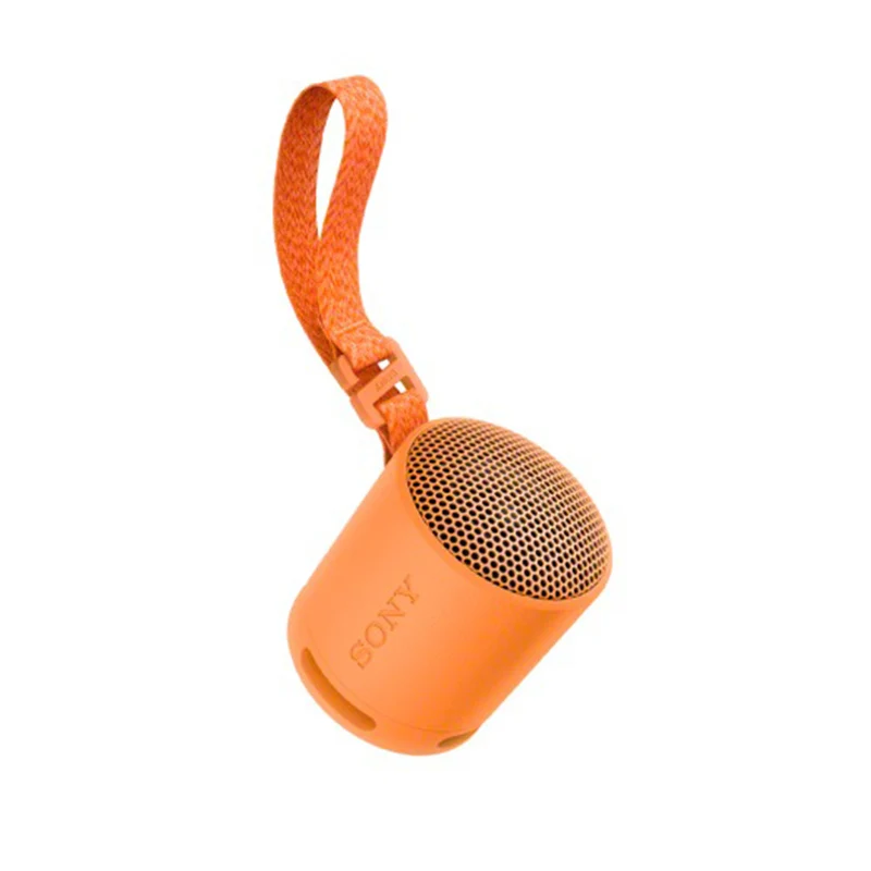 Sony SRS-XB100 Wireless Speaker (Black, Light Grey, Blue, Orange)
