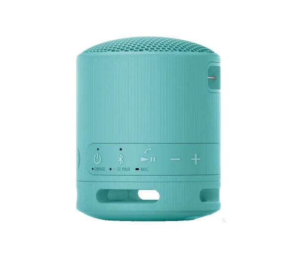 Sony SRS-XB100 Wireless Speaker (Black, Light Grey, Blue, Orange)