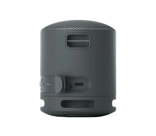 Sony SRS-XB100 Wireless Speaker (Black, Light Grey, Blue, Orange)