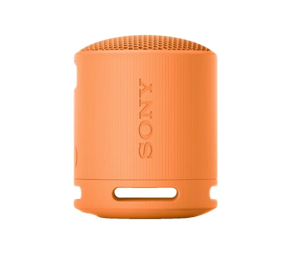 Sony SRS-XB100 Wireless Speaker (Black, Light Grey, Blue, Orange)