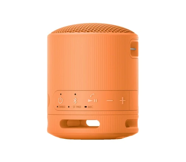Sony SRS-XB100 Wireless Speaker (Black, Light Grey, Blue, Orange)