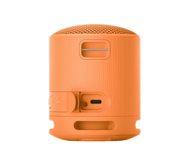 Sony SRS-XB100 Wireless Speaker (Black, Light Grey, Blue, Orange)