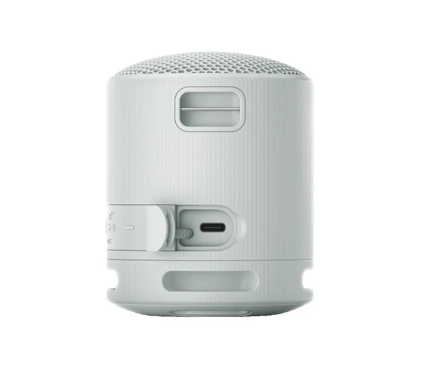 Sony SRS-XB100 Wireless Speaker (Black, Light Grey, Blue, Orange)