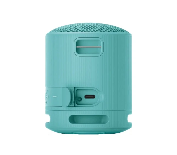 Sony SRS-XB100 Wireless Speaker (Black, Light Grey, Blue, Orange)