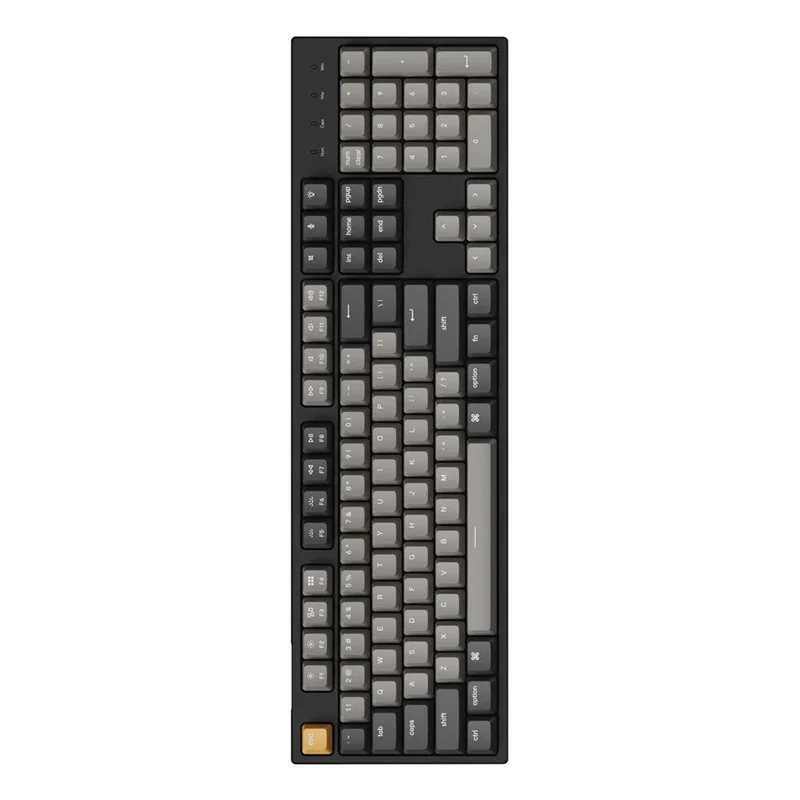 Keychron C2 Pro QMK/Via RGB Backlight Hot-Swappable Full Size Wired Mechanical Keyboard - Black (K Pro Red Switch) (C2P-H1)