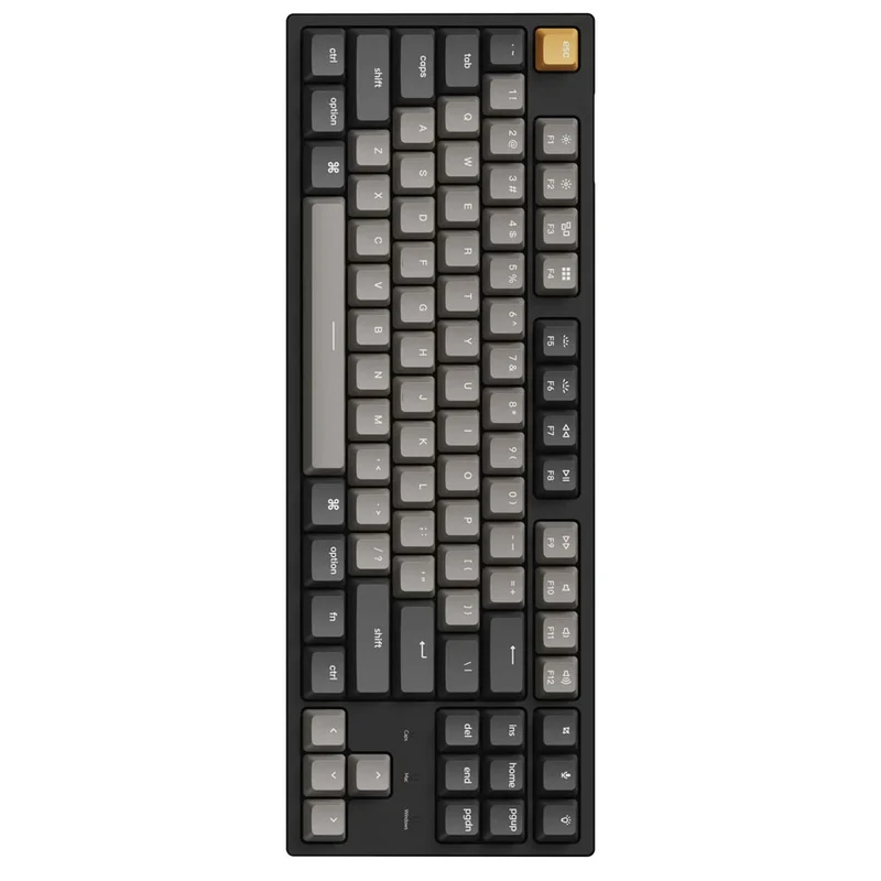 Keychron C1 Pro QMK/Via RGB Backlight Hot-Swappable TKL Wired Mechanical Keyboard - Black (K Pro Red Switch) (C1P-H1)
