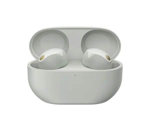 Sony WF-1000XM5 Truly Wireless Noise Canceling Earbuds