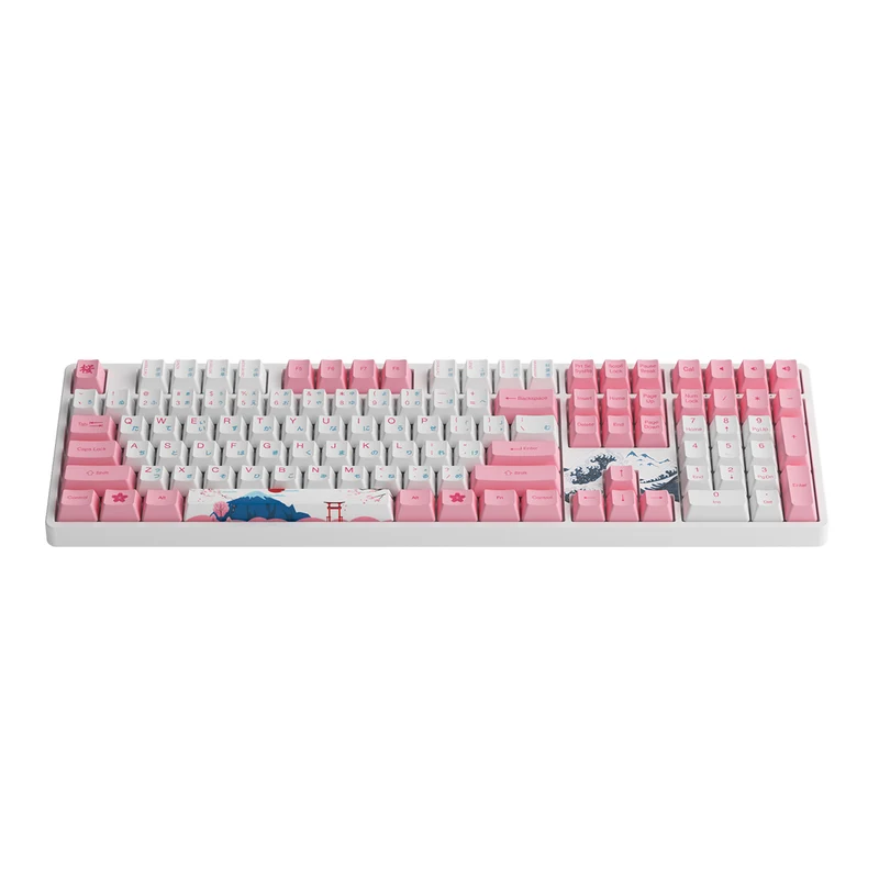 Akko World Tour Tokyo R2 5108S OEM SP RGB Hot-Swappable Mechanical Keyboard (Gateron Orange-Lubed)