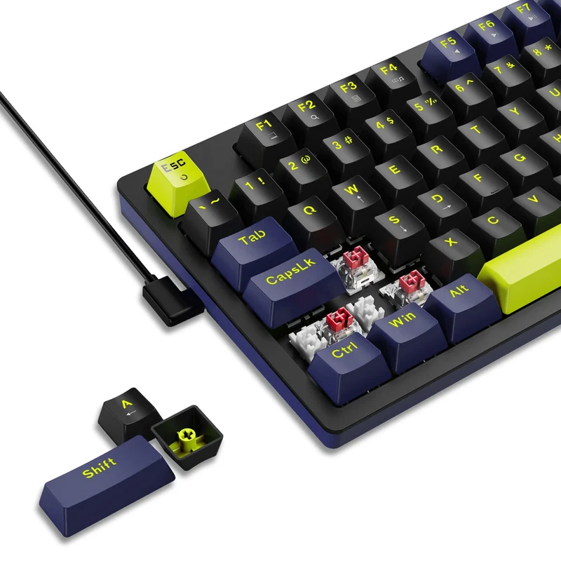 E-Yooso Z-94 Rainbow Light 94-Keys Hot-Swappable Wired Mechanical Keyboard Black/Blue (Red Switch)