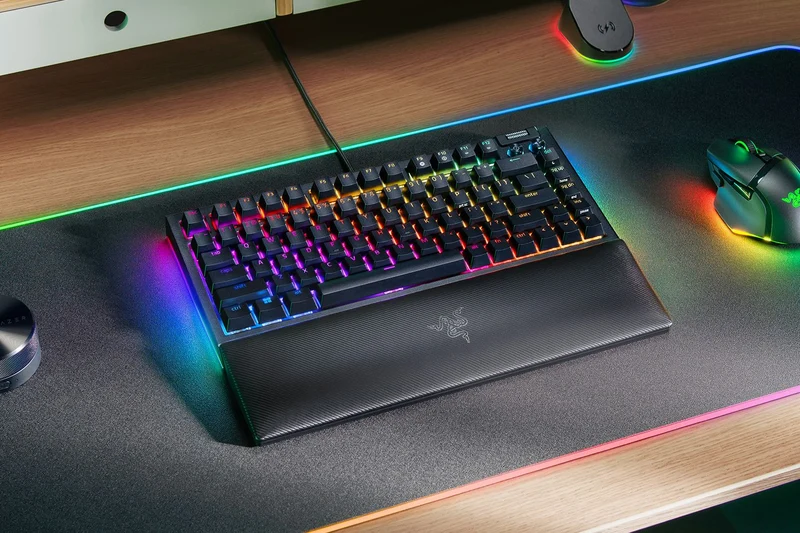 Razer Blackwidow V4 75% Hot-Swappable Mechanical Gaming Keyboard (Black) (Orange Switches)