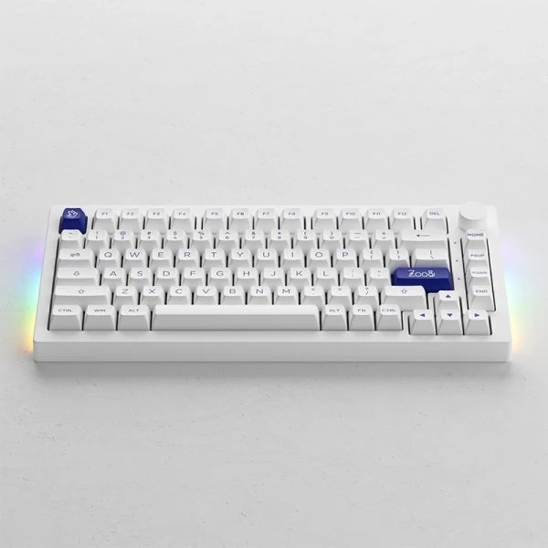 Akko Blue On White 5075B Plus Multi-Modes RGB Mechanical Keyboard (Wine White)