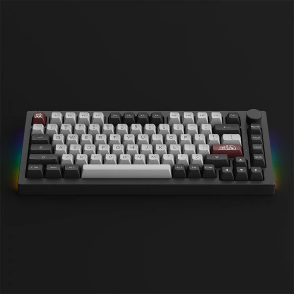 Akko Dracula Castle 5075B Plus Multi-Modes RGB Mechanical Keyboard (Wine White)