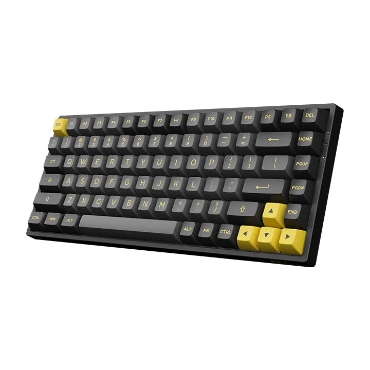 Akko Black & Gold 3084B Plus Multi-Modes RGB Mechanical Keyboard (Akko X TTC Princess)