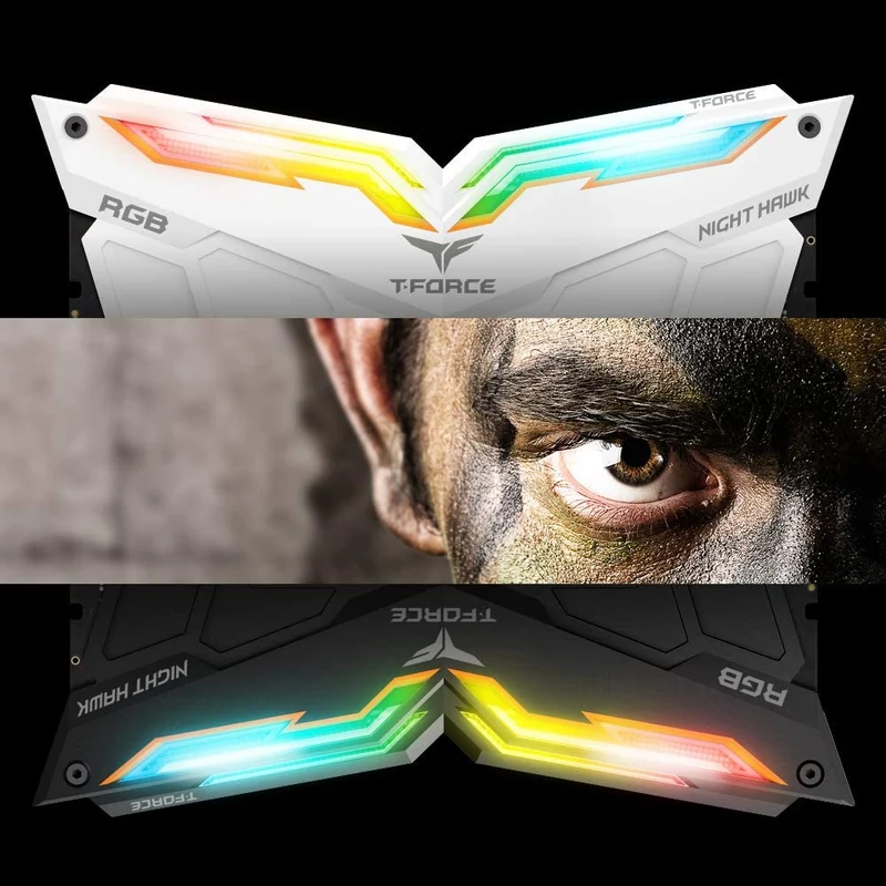 Teamgroup T-Force Night Hawk RGB 16GB (2X8GB) DDR4 3600Mhz CL18-22-22-42 1.35V Desktop Memory (White) (TF15D416G3600HC18JDC01)