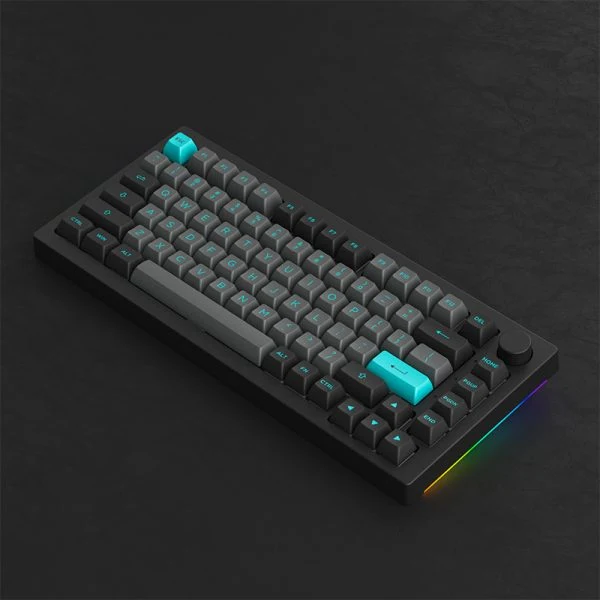 Akko Black & Cyan 5075B Plus Multi-Modes RGB Mechanical Keyboard (Akko CS Silver)