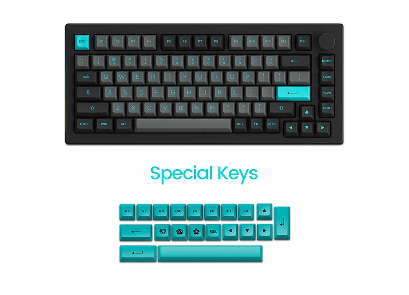 Akko Black & Cyan 5075B Plus Multi-Modes RGB Mechanical Keyboard (Akko CS Silver)