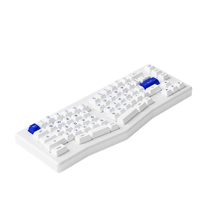 Akko ACR Pro Alice Plus Spray Painted Acrylic RGB Hot-Swappable Mechanical Keyboard Gasket Mount (White) (Akko Cs Crystal)