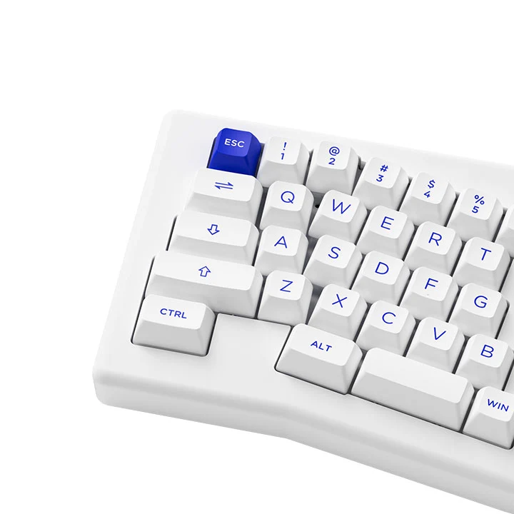 Akko ACR Pro Alice Plus Spray Painted Acrylic RGB Hot-Swappable Mechanical Keyboard Gasket Mount (White) (Akko Cs Crystal)
