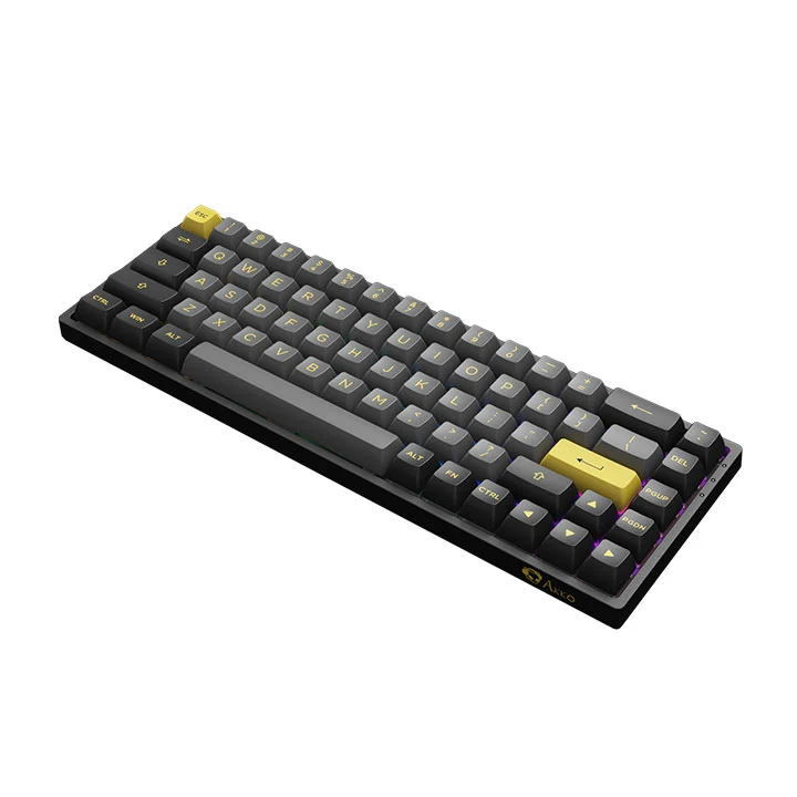 Akko Black & Gold 3068B Multi-Modes RGB Mechanical Keyboard (Akko X TTC Demon)