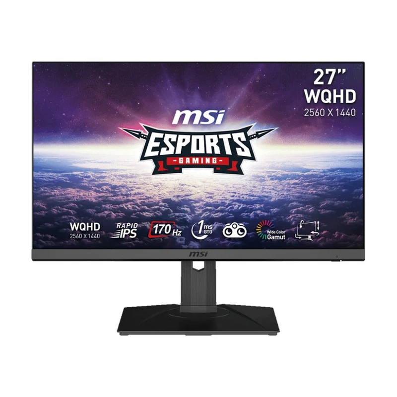 MSI G272QPF 27” WQHD Rapid IPS 170Hz 1ms GTG Adaptive Sync Compatible Esports Gaming Monitor