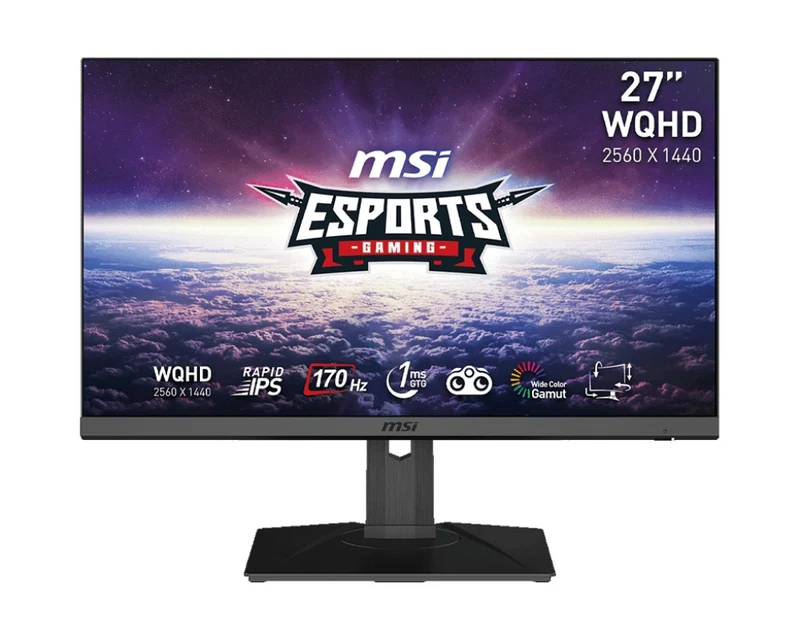 MSI G272QPF 27” WQHD Rapid IPS 170Hz 1ms GTG Adaptive Sync Compatible Esports Gaming Monitor