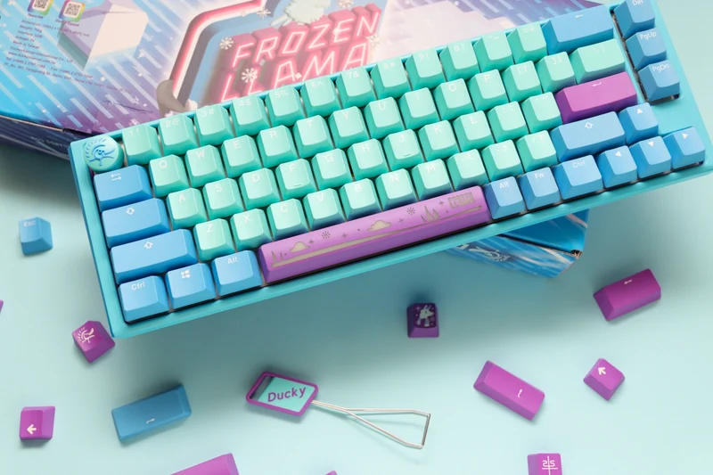 Ducky One 3 SF Frozen Llama Hotswap RGB Double-Shot PBT Mechanical Keyboard (Cherry RGB Brown) (DKON2167ST-BUSPDFLCVBC1)