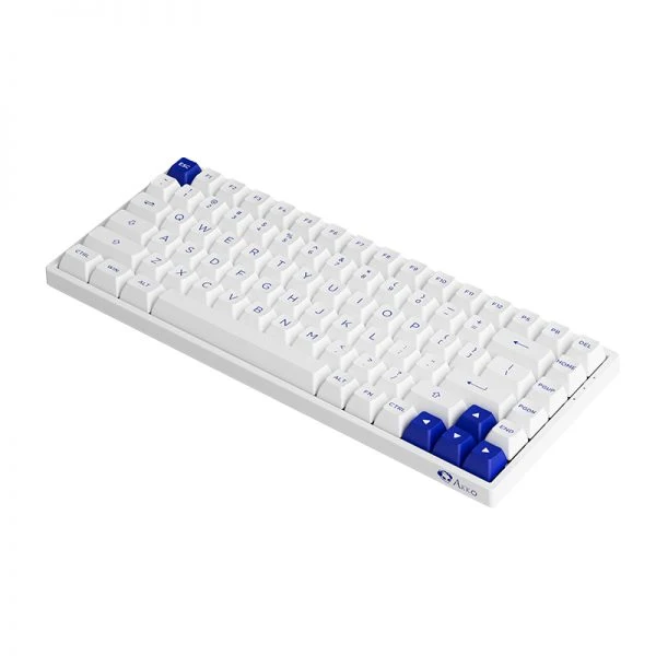 Akko Blue On White 3084B Plus Hot-Swappable Multi-Mode RGB Mechanical Keyboard (Akko CS Jelly Purple)