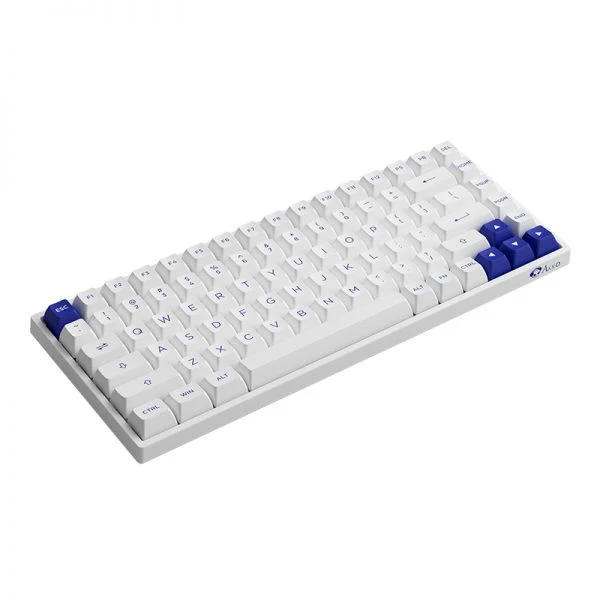 Akko Blue On White 3084B Plus Hot-Swappable Multi-Mode RGB Mechanical Keyboard (Akko CS Jelly Purple)