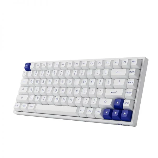 Akko Blue On White 3084B Plus Hot-Swappable Multi-Mode RGB Mechanical Keyboard (Akko CS Jelly Purple)