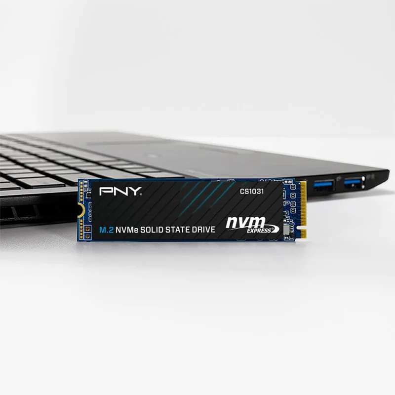 PNY CS1031 256GB M.2 2280 NVME PCIE GEN3 X4 SSD (M280CS1031-256-CL)