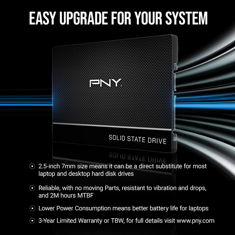 PNY CS900 250GB 2.5-INCH SATA III 6GB/S SSD (SSD7CS900-250-RB)