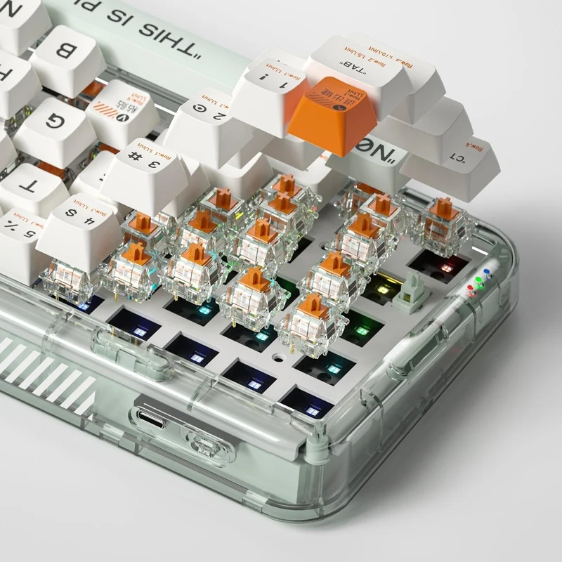 MelGeek MOJO68 Plastic See-Through Custom Programmable Mechanical Keyboard (Kailh Custom Plastic Switch)