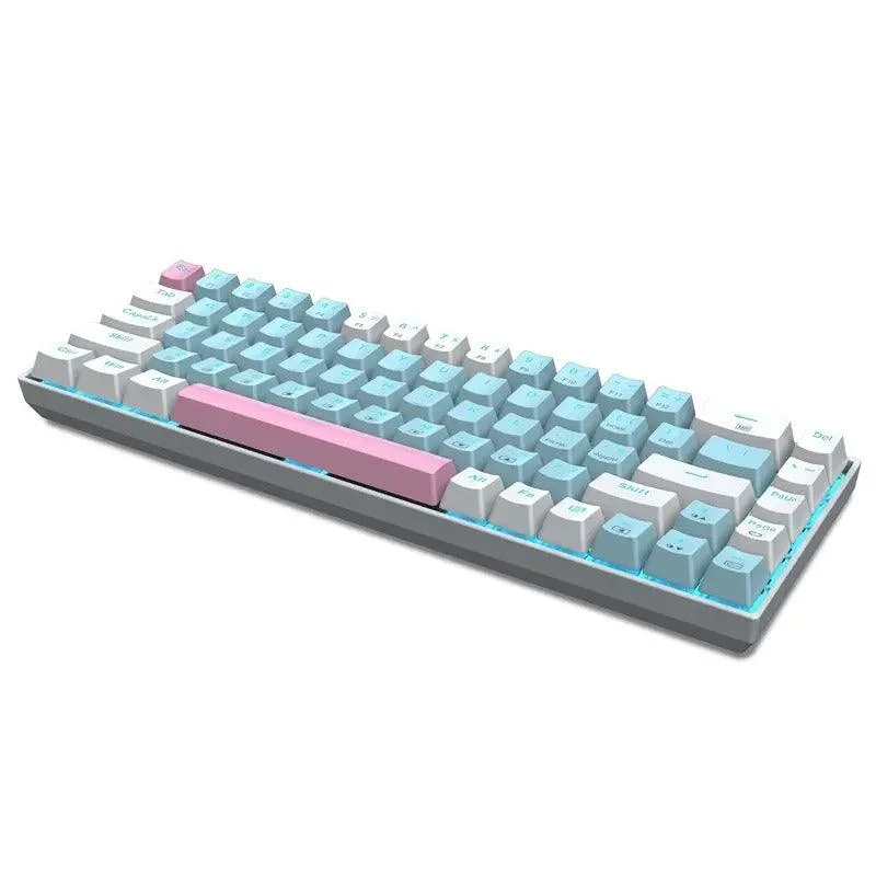 E-YOOSO Z-686 Single Light 68 Keys Hot Swappable Mechanical Keyboard Blue/White (Red Switch)