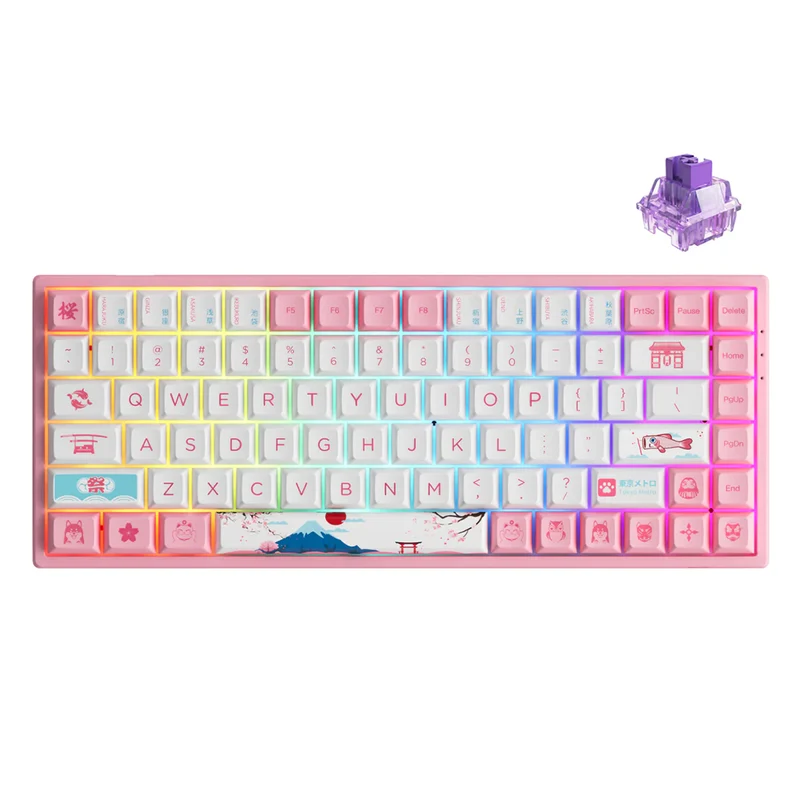 AKKO World Tour Tokyo R2 3084B Plus Hot-Swappable Multi-Mode RGB Mechanical Keyboard (AKKO CS Jelly Purple)