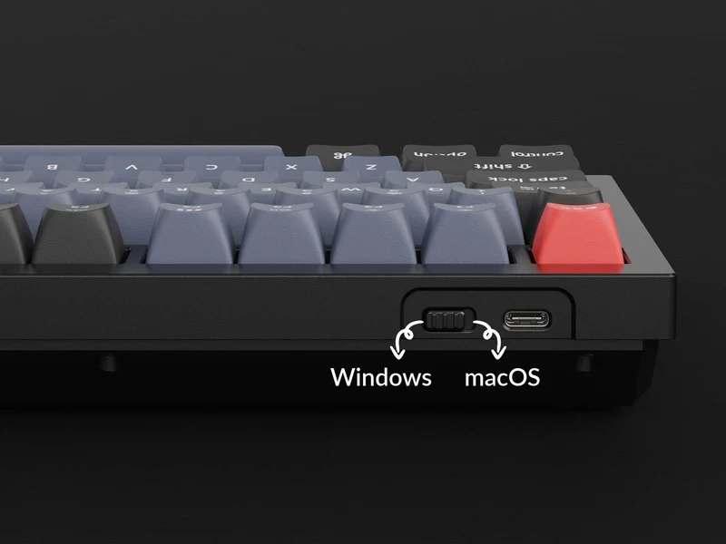 Keychron Q1 QMK Custom Mechanical V2 Knob Version Hot-Swappable RGB Backlight Keyboard - Carbon Black B (Gateron G Pro Red Switch) (Q1M1Z)
